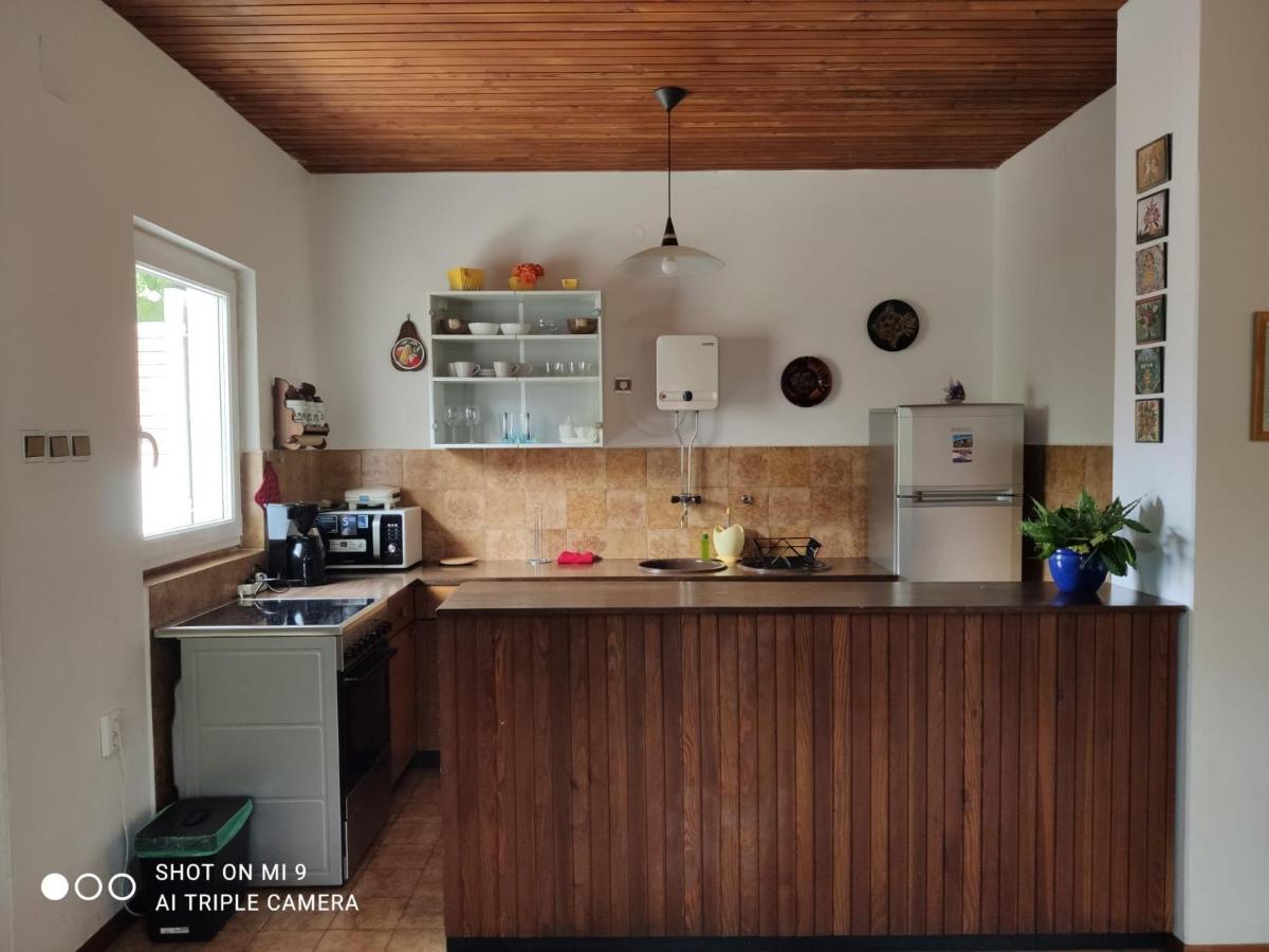 Danica Holiday House Цесариця Екстер'єр фото