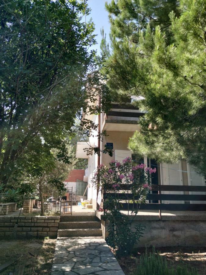 Danica Holiday House Цесариця Екстер'єр фото