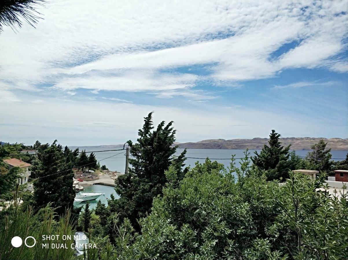 Danica Holiday House Цесариця Екстер'єр фото